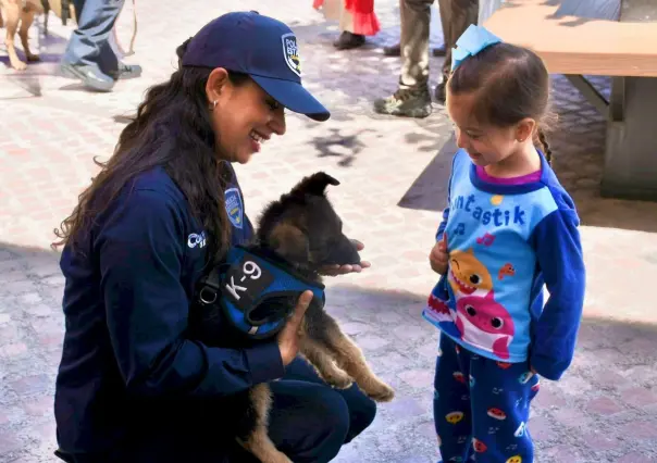 ¡Qué ternura! Busca Policía Estatal de Coahuila un nombre para elemento canino