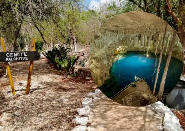 Así es el cenote Palomitas, el ojo de agua más grande de Yucatán