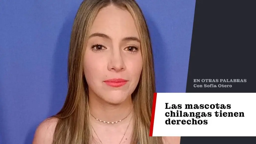 Las mascotas chilangas tienen derechos
