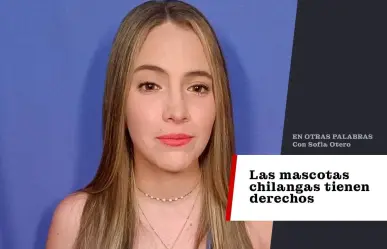 Las mascotas chilangas tienen derechos