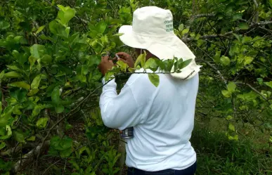IMSS para integrantes del Comité Estatal de Sanidad Vegetal de Tamaulipas