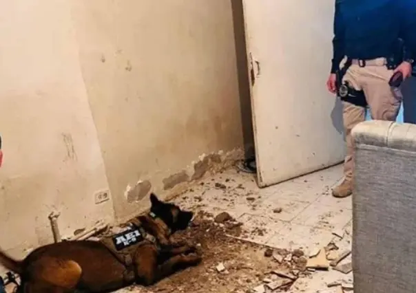 Encuentran tres cuerpos enterrados en un domicilio de Ciudad Juárez