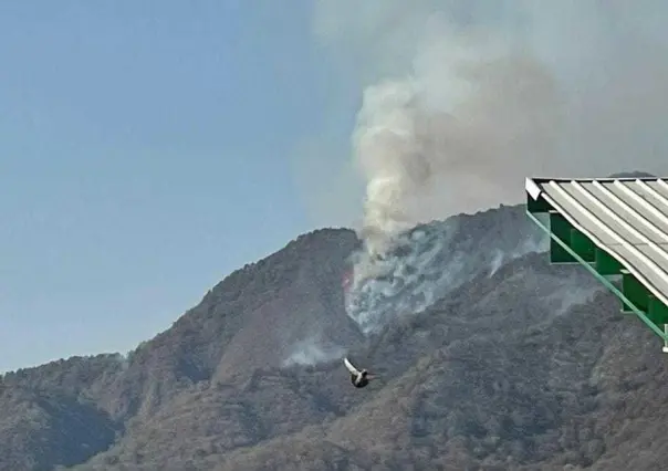 Congreso mexiquense pide utilizar el fondo de desastres para mitigar incendios