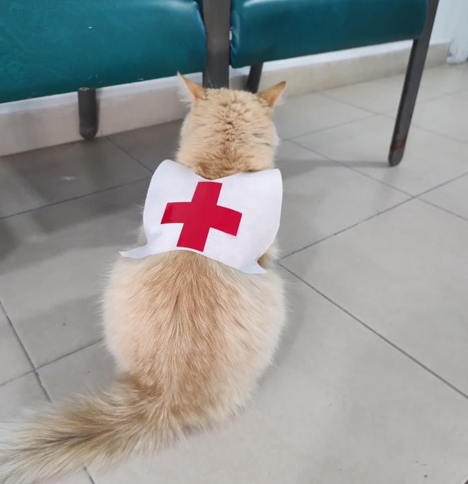 Tiene Cruz Roja Mexicana en Matamoros su nuevo MichiVoluntario