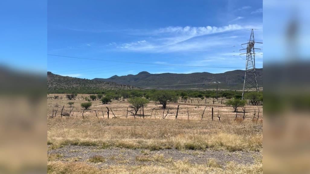 Únicamente el 10 por ciento de los bordos de abrevadero tienen agua