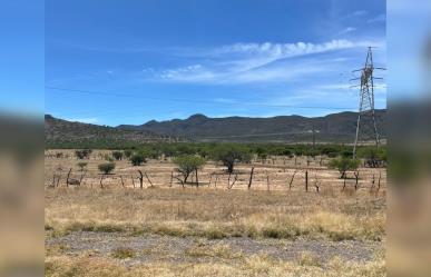 Únicamente el 10 por ciento de los bordos de abrevadero tienen agua