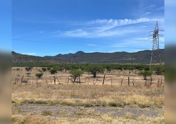 Únicamente el 10 por ciento de los bordos de abrevadero tienen agua