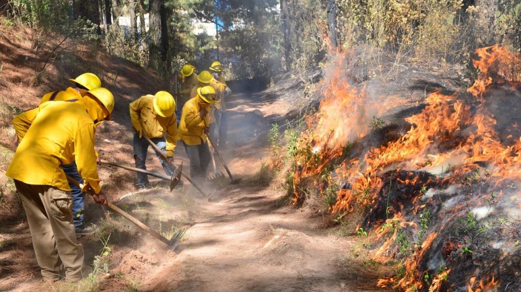 Registra Probosque más de 600 incendios en Edomex (VIDEO)