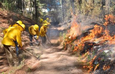 Registra Probosque más de 600 incendios en Edomex (VIDEO)