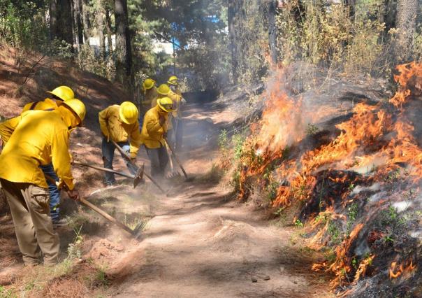 Registra Probosque más de 600 incendios en Edomex (VIDEO)