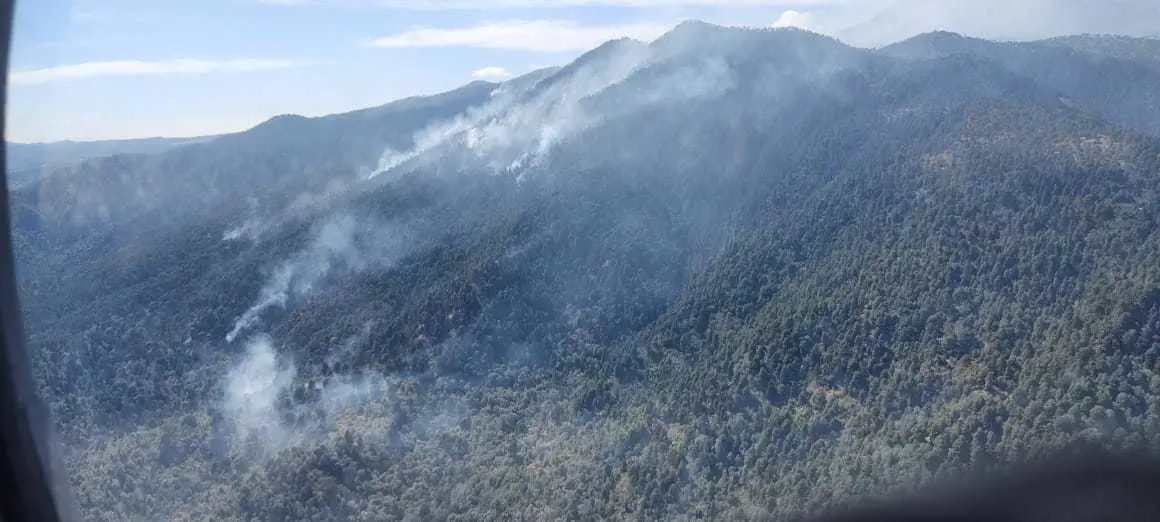 Combaten incendio en Villa Guerrero; descargan más de 4 mil litros de agua