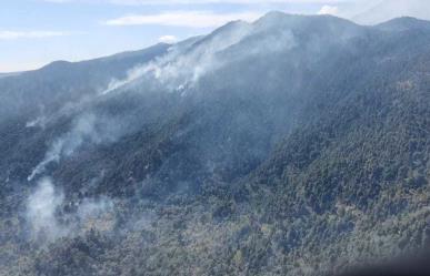 Combaten incendio en Villa Guerrero; descargan más de 4 mil litros de agua