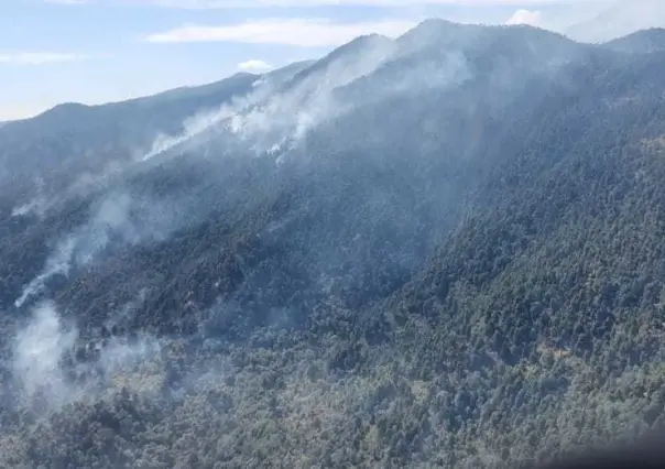 Combaten incendio en Villa Guerrero; descargan más de 4 mil litros de agua