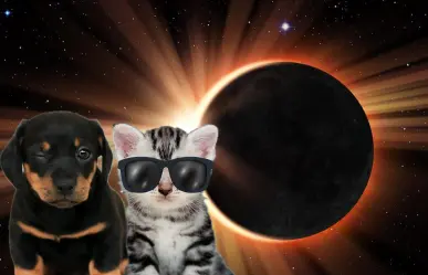 ¿El Eclipse Solar le afecta a tus mascotas?, esto debes saber