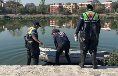 Hallan flotando cuerpo sin vida de un hombre en la GAM