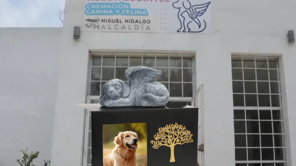 Porque ellos también lo merecen, conoce el único Crematorio de Mascotas en CDMX