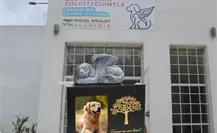 Porque ellos también lo merecen, conoce el único Crematorio de Mascotas en CDMX Porque ellos también lo merecen, conoce el único Crematorio de Mascotas en CDMX