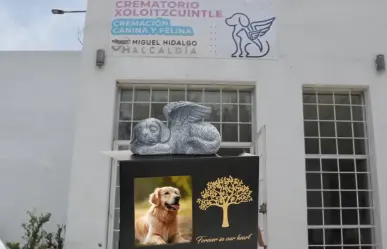 Porque ellos también lo merecen, conoce el único Crematorio de Mascotas en CDMX