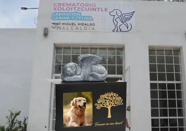 Porque ellos también lo merecen, conoce el único Crematorio de Mascotas en CDMX