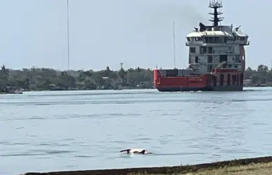 Mira lo que flotaba en el río Pánuco en Tampico