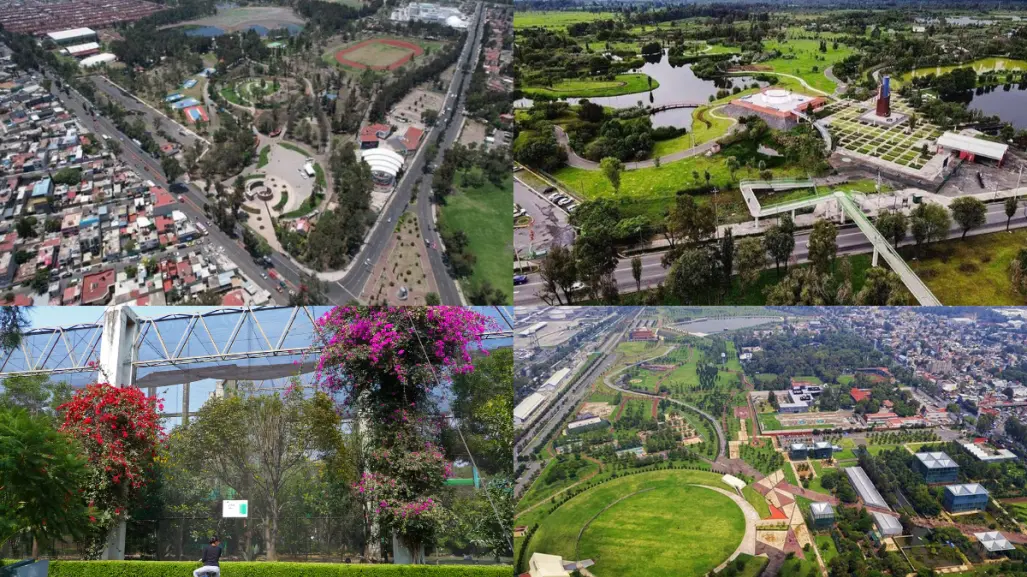 Disfruta de la naturaleza en CDMX: Checa estos lugares para hacer un pícnic