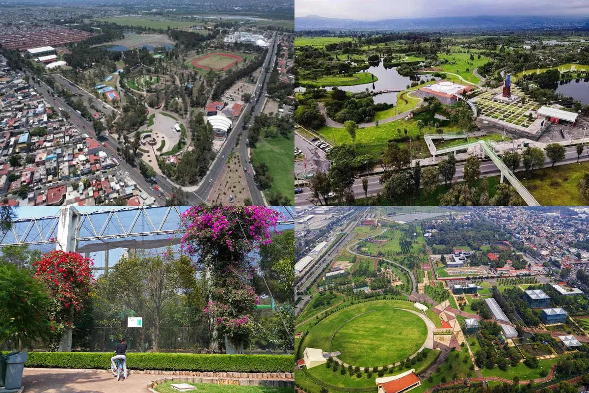 Disfruta de la naturaleza en CDMX: Checa estos lugares para hacer un pícnic.     Foto: Especial