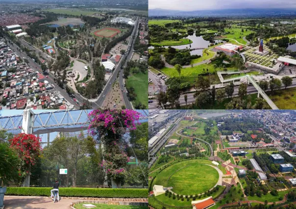 Disfruta de la naturaleza en CDMX: Checa estos lugares para hacer un pícnic