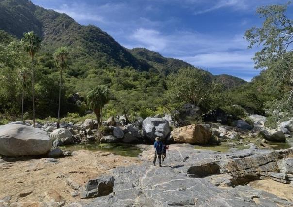 Explora el sendero del Cañón San Bernardo, BCS