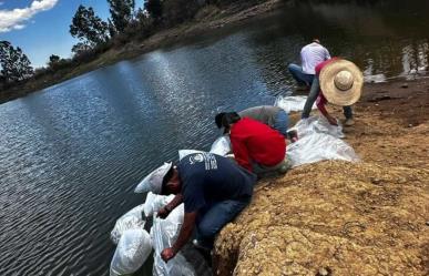 Alistan producción acuícula en Edoméx, estaría lista en ocho meses