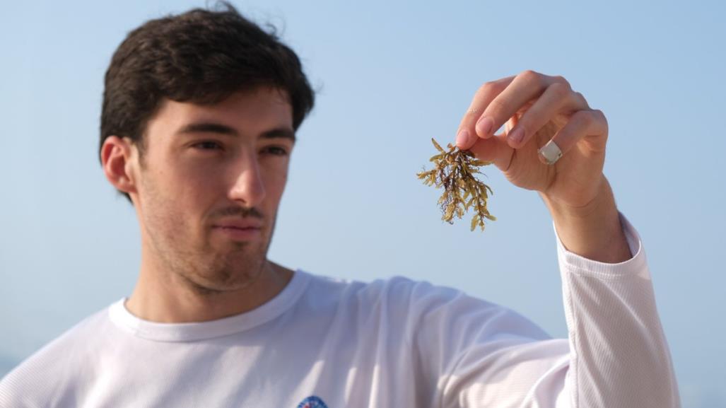 Joven mexicano busca convertir el sargazo en arma contra el cambio climático