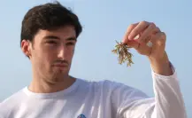 Joven mexicano busca convertir el sargazo en arma contra el cambio climático