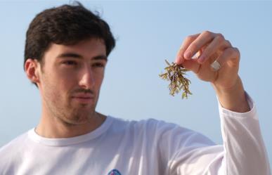 Joven mexicano busca convertir el sargazo en arma contra el cambio climático