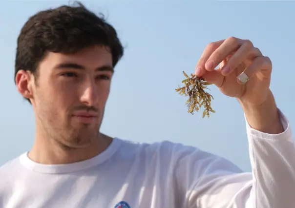 Joven mexicano busca convertir el sargazo en arma contra el cambio climático