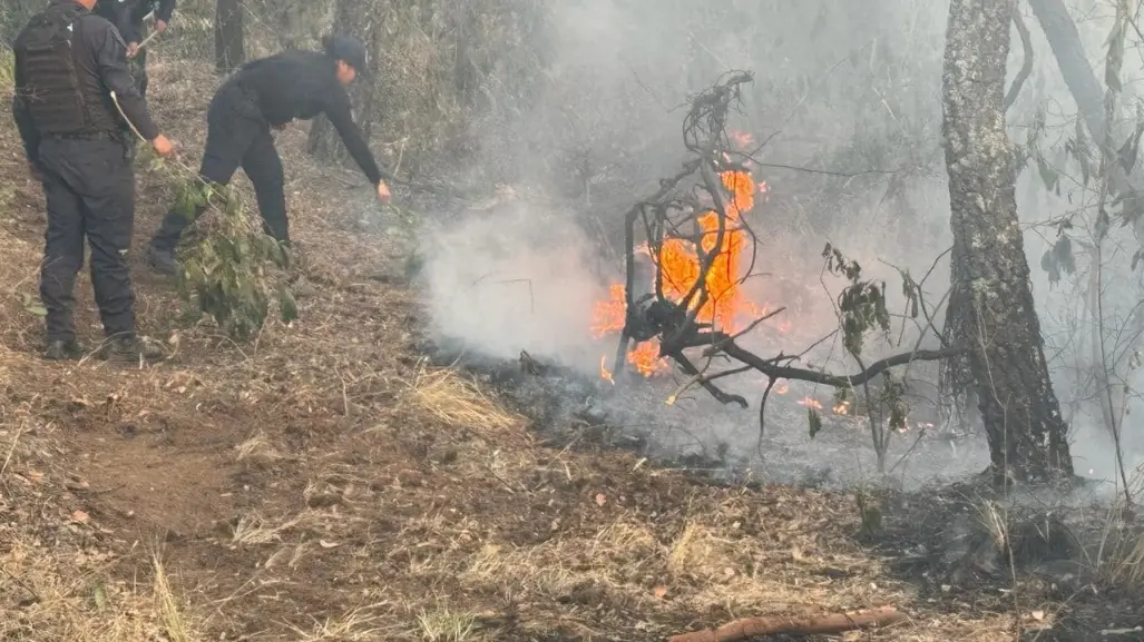 Surgen dos nuevos incendios forestales en Edoméx (VIDEO)