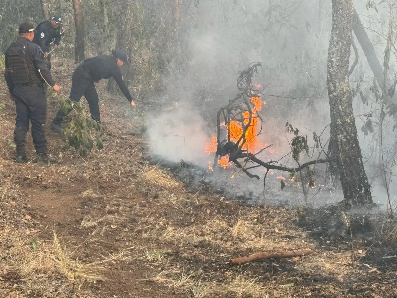 Surge un nuevo incendio forestal en  Santa María Mazatla en Jilotzingo.  Foto: Gob. de Jilotzingo