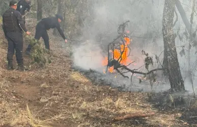 Surgen dos nuevos incendios forestales en Edoméx (VIDEO)