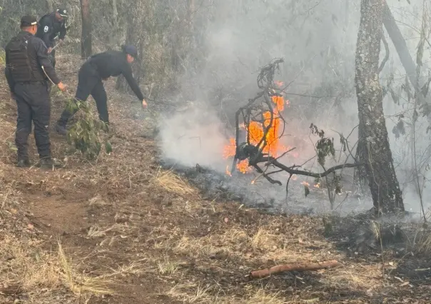 Surgen dos nuevos incendios forestales en Edoméx (VIDEO)