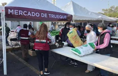 Ven al Mercado de Trueque en CDMX y cambia tus residuos por productos