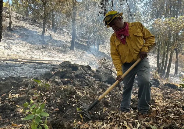 Controlan nueve incendios forestales en Edomex; aún quedan dos pendientes