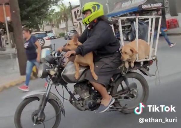 Pasean a perro en un cesto de basura sobre una moto en Monterrey