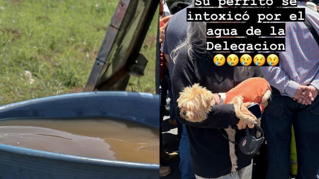 Vecinos exigen respuesta por agua contaminada en la Benito Juárez