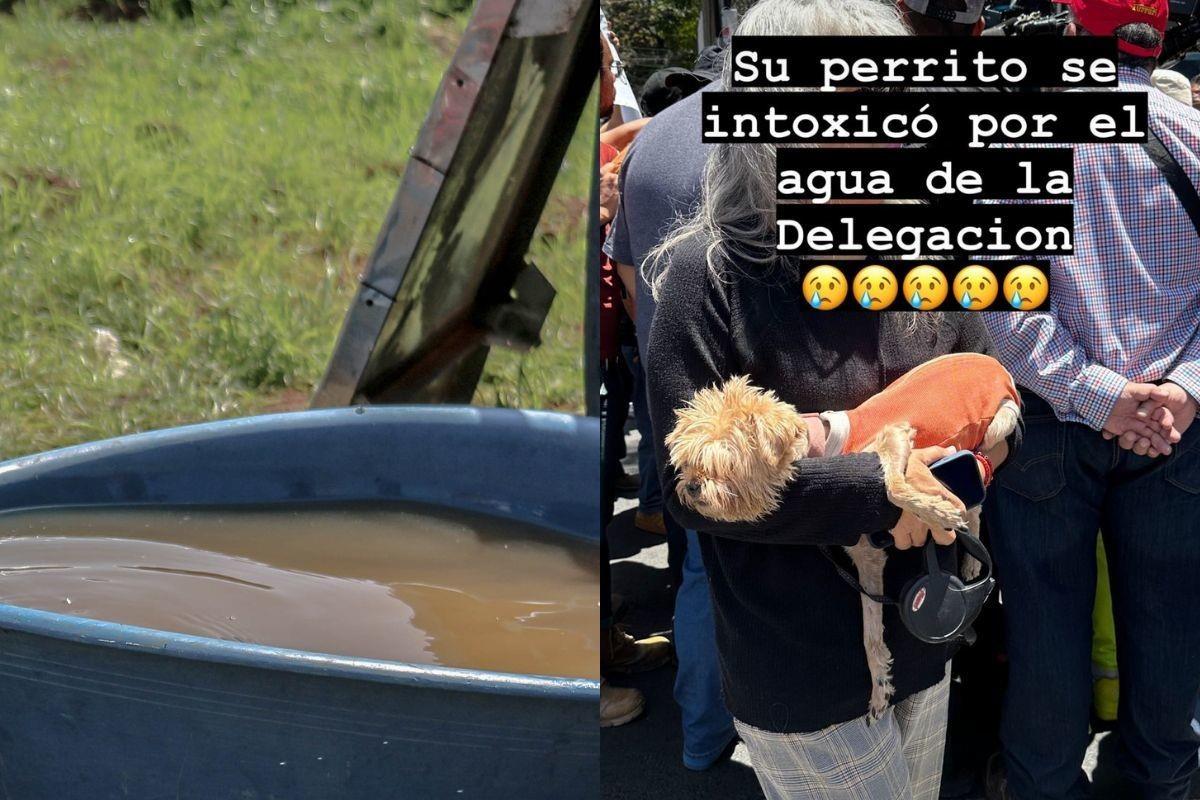 Vecinos de la delegación Benito Juárez se manifiestan para exigir respuestas por el agua contaminada que llega a sus hogares Foto: Instagram @juanbertheau