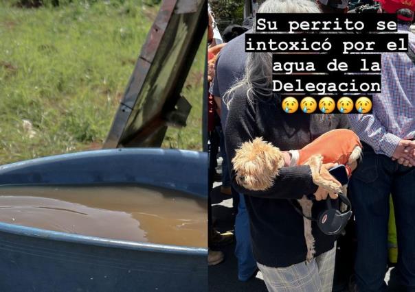 Vecinos exigen respuesta por agua contaminada en la Benito Juárez