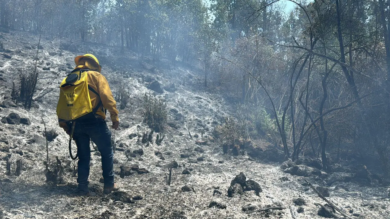 Brigadistas continúan trabajando en el combate de los incendios en el Edomex. Imagen: Probosque.