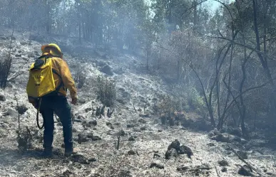 Combaten incendios forestales en Amanalco y Tlalnepantla