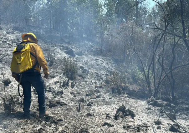 Combaten incendios forestales en Amanalco y Tlalnepantla