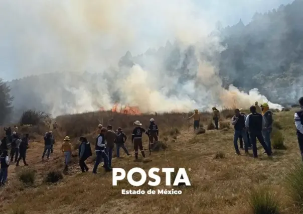 Hasta 30 años pasaría quien provoque un incendio forestal en Edoméx
