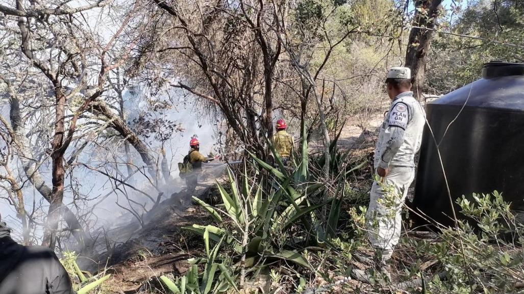 Incendios forestales en Tamaulipas extinguidos