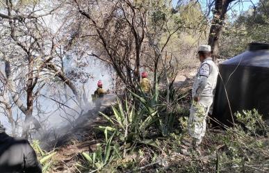 Incendios forestales en Tamaulipas extinguidos