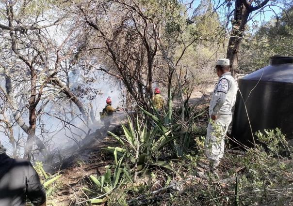 Incendios forestales en Tamaulipas extinguidos